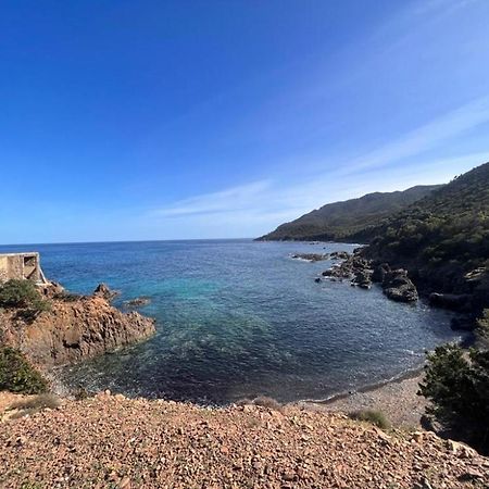 فيلا Casa Depau Tertenìa المظهر الخارجي الصورة